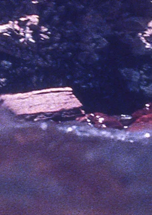 Постер: Pond and Waterfall