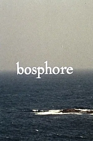 Постер: Bosphore
