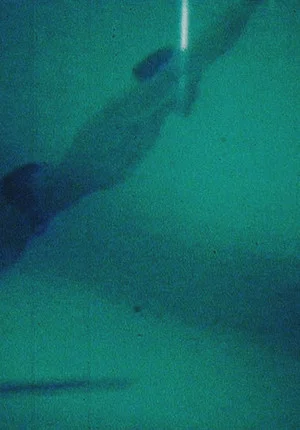 Постер: Passage du désir