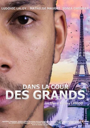 Постер: Dans la cour des grands