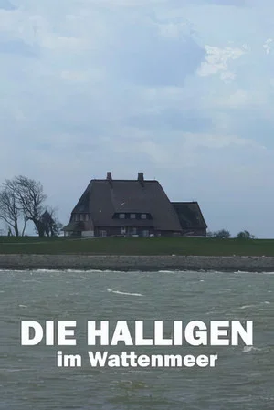 Постер: Die Halligen im Wattenmeer