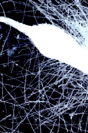 Постер: Yaangna Plays Itself