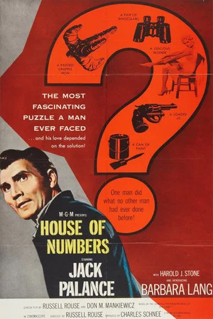 Постер: House of Numbers