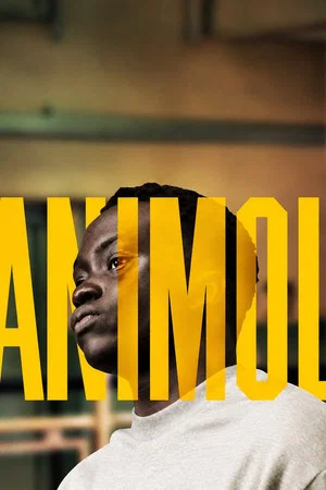 Постер: Animol