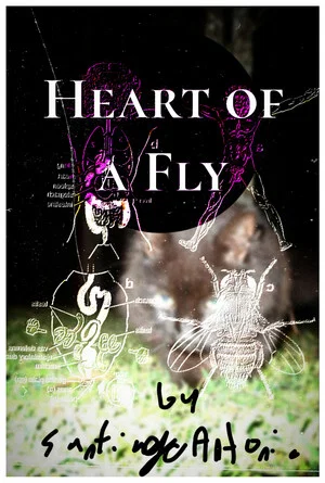 Постер: Heart of a Fly