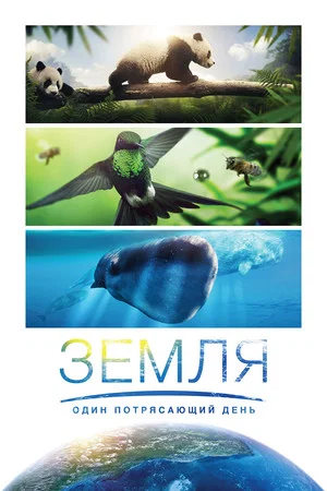 Постер: Земля: Один потрясающий день