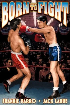 Постер: Born to Fight