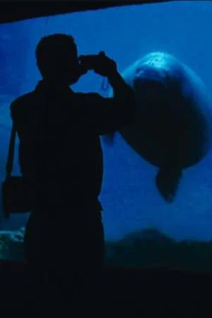 Постер: The Aquarium