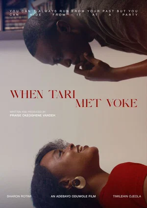 Постер: When Tari Met Voke