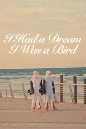 Постер: I Had a Dream I Was a Bird