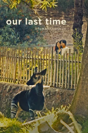Постер: Our Last Time