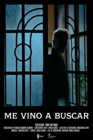 Постер: Me Vino a Buscar