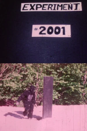 Постер: Experiment 2001: A Failure