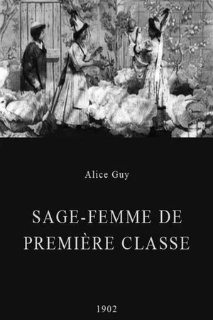 Постер: Midwife to the Upper Class