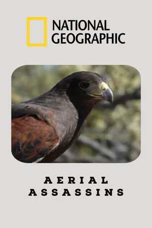 Постер: Aerial Assassins