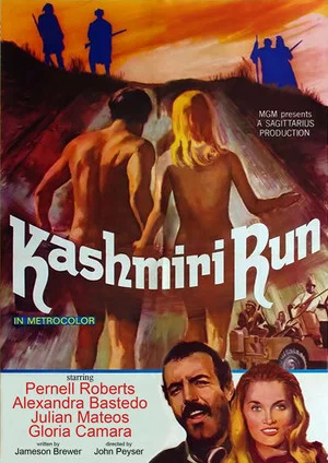Постер: The Kashmiri Run