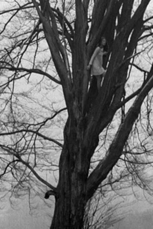 Постер: Foundling-Bird
