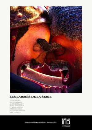 Постер: The Seine's Tears