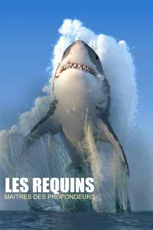 Постер: Les requins, maîtres des profondeurs