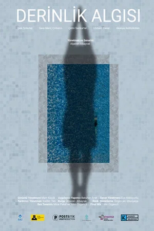 Постер: Perception of Depth