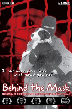 Постер: Behind the Mask