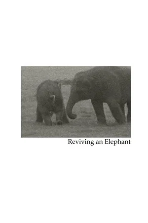 Постер: Reviving an Elephant