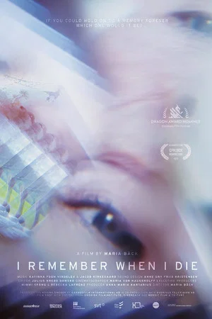 Постер: I Remember When I Die