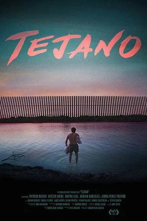 Постер: Техасец