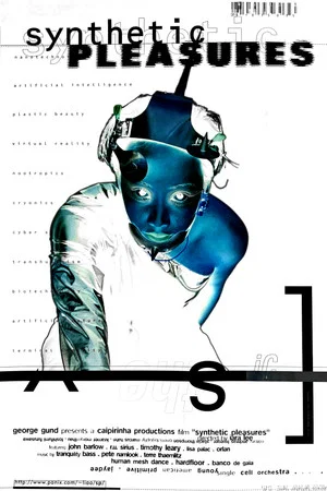 Постер: Synthetic Pleasures