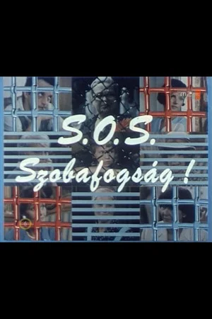 Постер: S.O.S. Szobafogság!