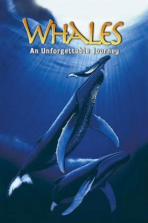 Постер: Whales: An Unforgettable Journey