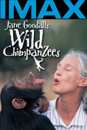 Постер: Jane Goodall's Wild Chimpanzees