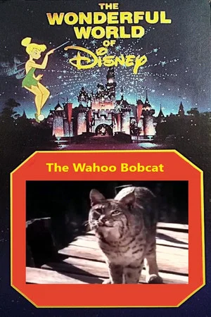 Постер: The Wahoo Bobcat