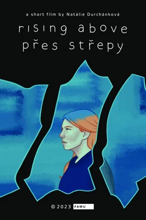 Постер: Přes střepy
