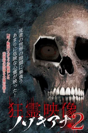 Постер: Crazy Spirit Video Nozokiana 2