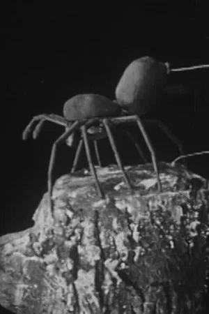 Постер: To Demonstrate How Spiders Fly