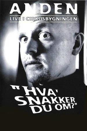 Постер: Anders Matthesen: Hva' snakker du om?