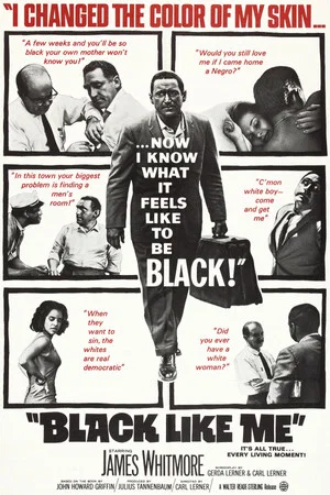 Постер: Black Like Me
