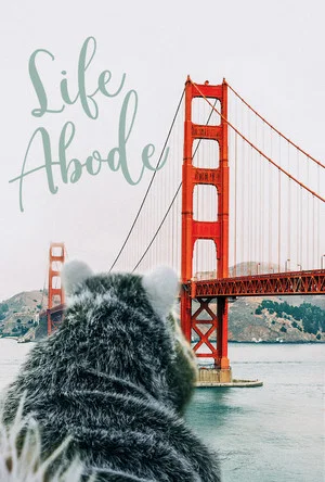 Постер: Life Abode