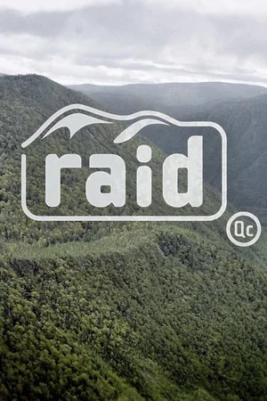 Постер: Raid Qc