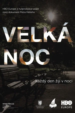 Постер: The Great Night