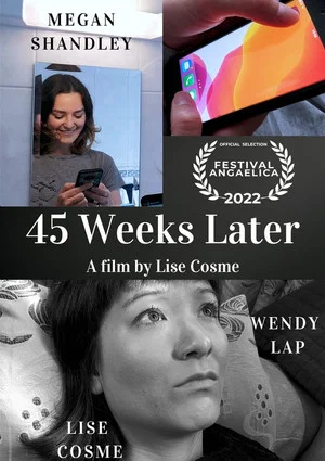 Постер: 45 Weeks Later