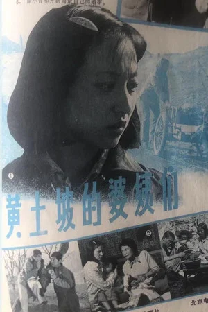 Постер: The Women of Huangtupo Village