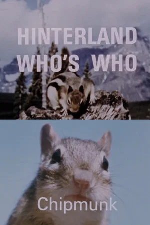 Постер: Hinterland Who's Who: Chipmunk