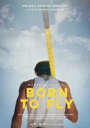 Постер: Born to Fly
