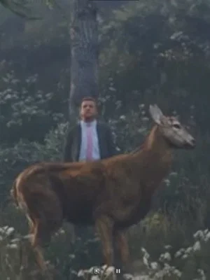 Постер: The Deer Gift