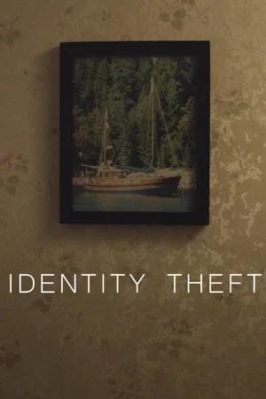 Постер: Identity Theft