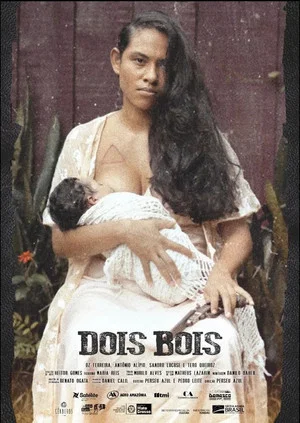 Постер: Dois Bois