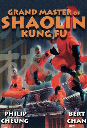 Постер: Grand Master Of Kung Fu
