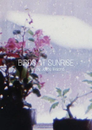 Постер: Birds at Sunrise